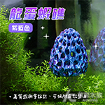龍蛋蝦礁 紫藍色（含吸盤）
