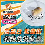 伯洋 冷凍泥鰍 切段 500g 冷凍