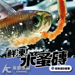 鮮凍水蚤磚 600g 冷凍