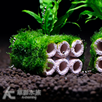 方形 陶瓷環造景蝦屋 6孔