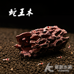 仿真蛇王木 10cm 虎皮色