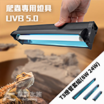 爬蟲 T5HO UVB燈具組 5.0 8W 31cm