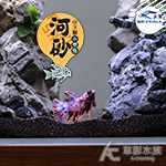SKYFALL 天賞 短鯛、鼠魚專用砂（1.5kg）
