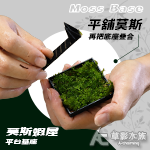 莫斯蝦屋平台 基座 黑色