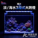 Leilih 鐳力 淡水海水3段式大跨燈 30cm