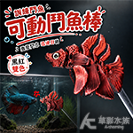 訓練鬥魚 鬥魚棒 黑紅可動