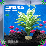 仿真水草 D010 觀音竹