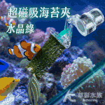 超磁吸 海苔夾 大型磁鐵 12mm以內
