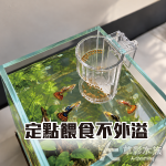 定點集合不外漏 餵食器 圓形 掛式